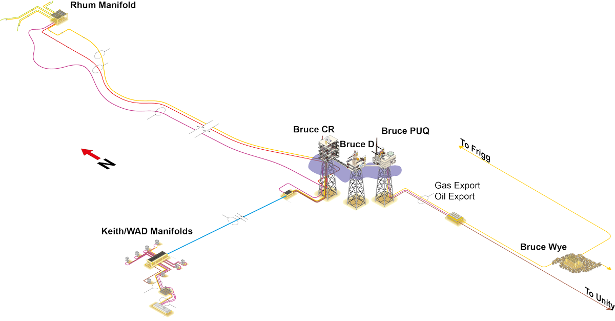 Rhum Bruce and Keith Field layout